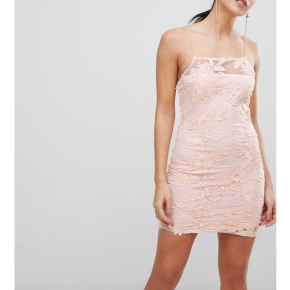 Blush Floral Mesh Embroidered Bodycon Dress